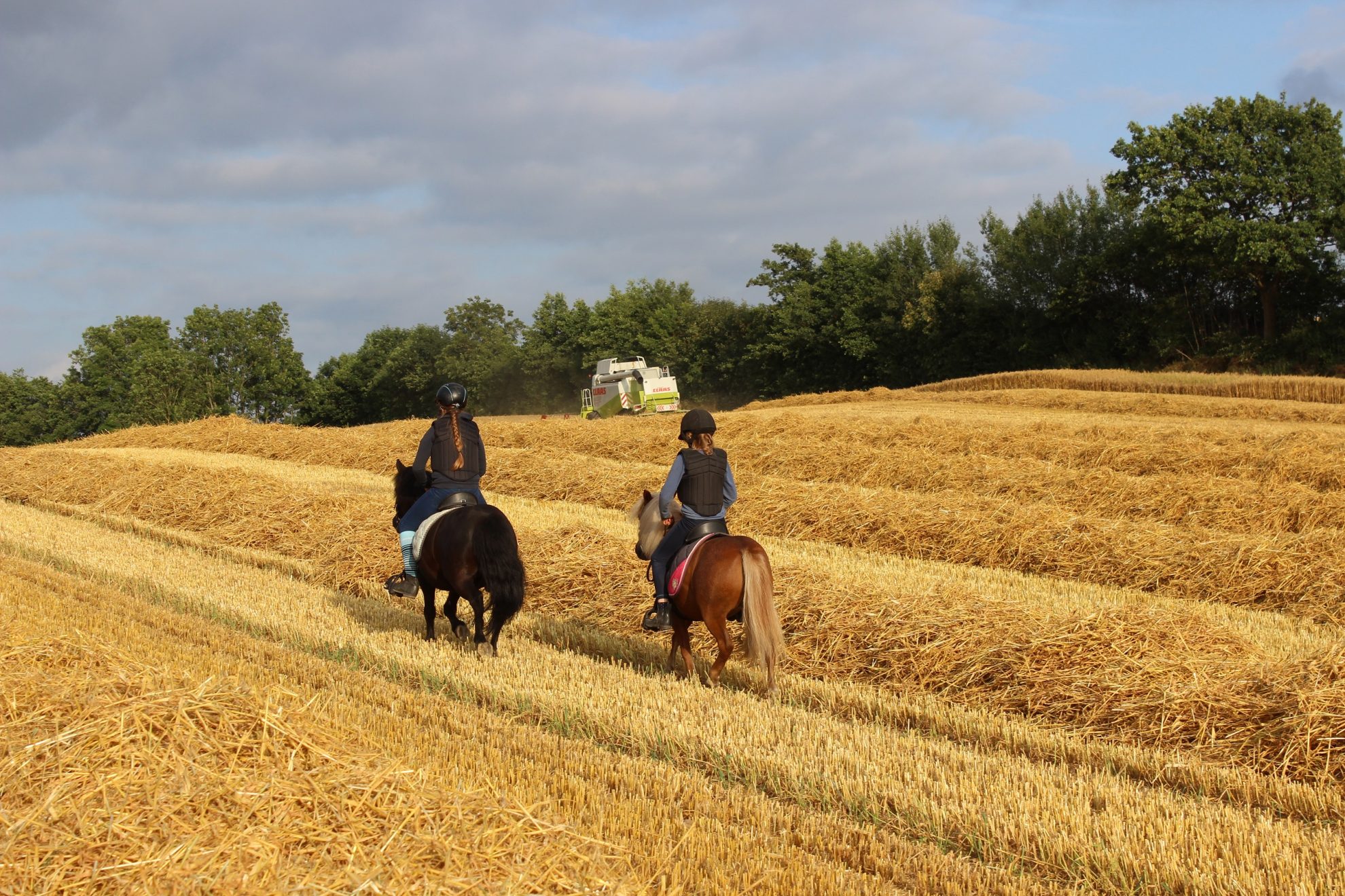 Über uns Ponyhof Maikendiek